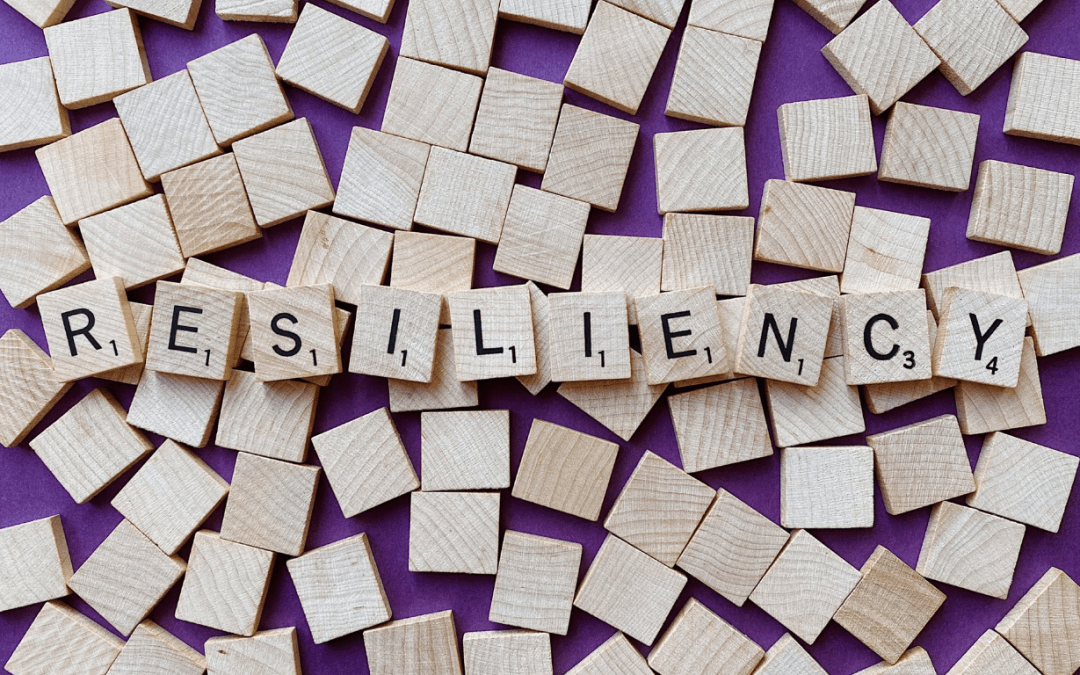 Resiliencia Empresarial